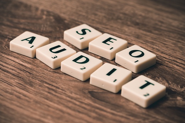 SEOAUDIT